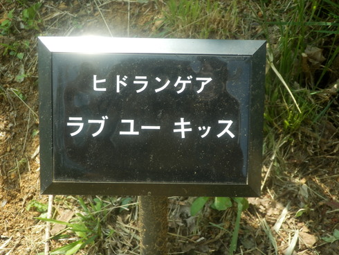 c0062511_21592637.jpg