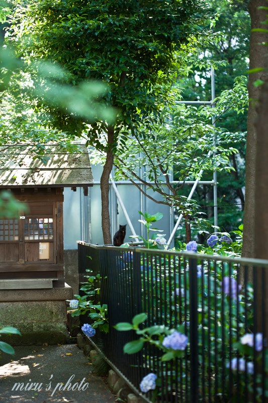 c0037519_1227541.jpg