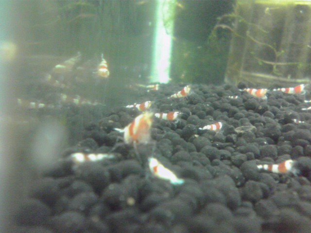 a0291521_14412358.jpg