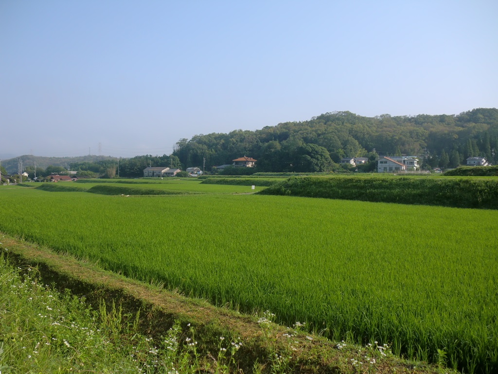 d0181824_11253221.jpg