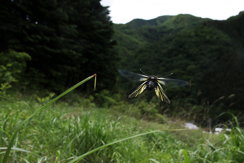 d0054625_034630.jpg