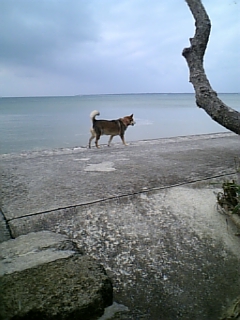 e0016828_132353.jpg