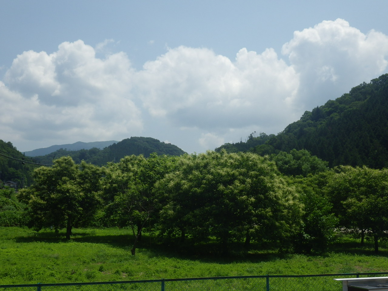 c0300035_1123318.jpg
