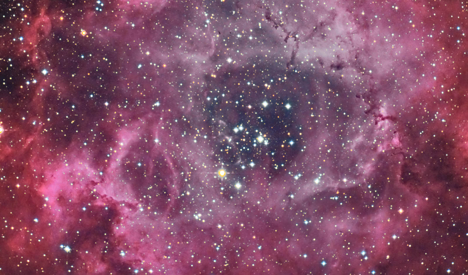 d0247035_1516432.jpg