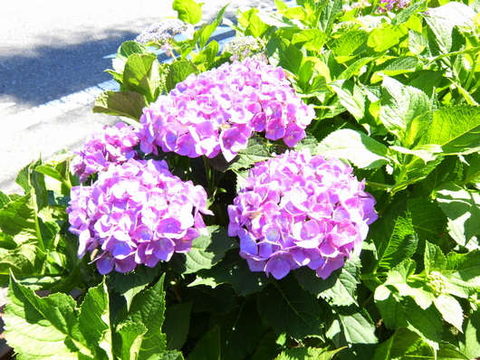 e0234741_2150213.jpg