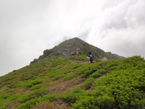 c0179351_8472291.jpg