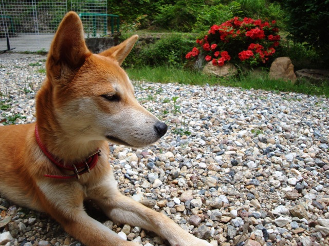 f0337851_20164357.jpg