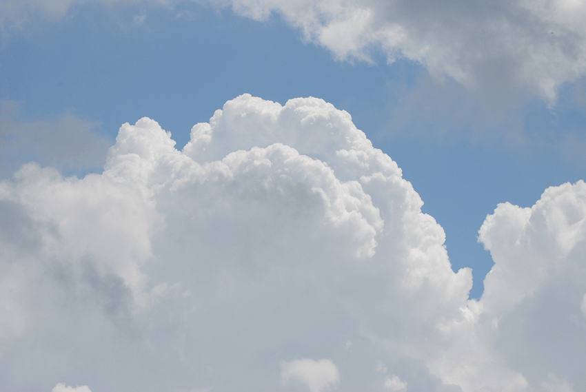 a0001354_2054357.gif