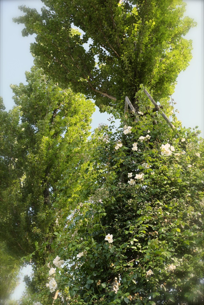 b0168859_2214162.jpg