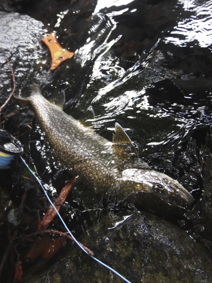 e0212759_025416.jpg