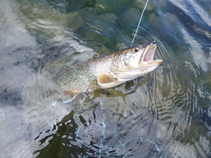e0212759_045372.jpg