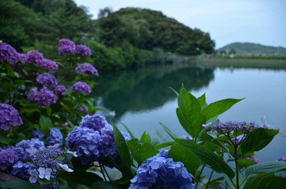 f0297861_2272495.jpg
