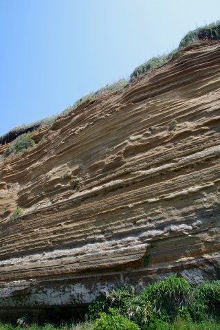e0045768_2219050.jpg