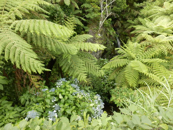 e0292172_20492313.jpg