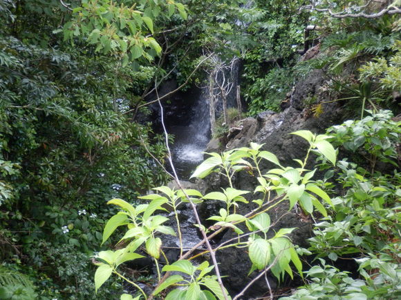 e0292172_20501112.jpg