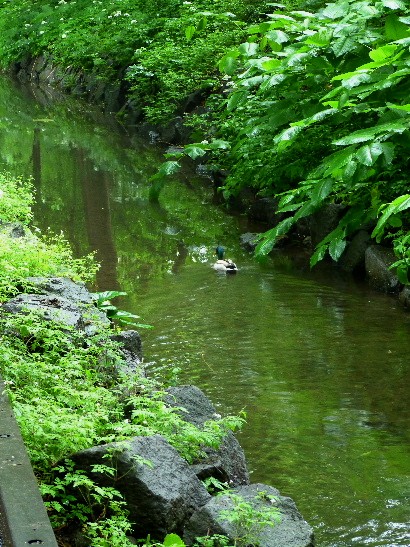 d0084473_1949551.jpg