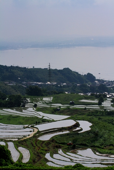 d0126577_21525595.jpg