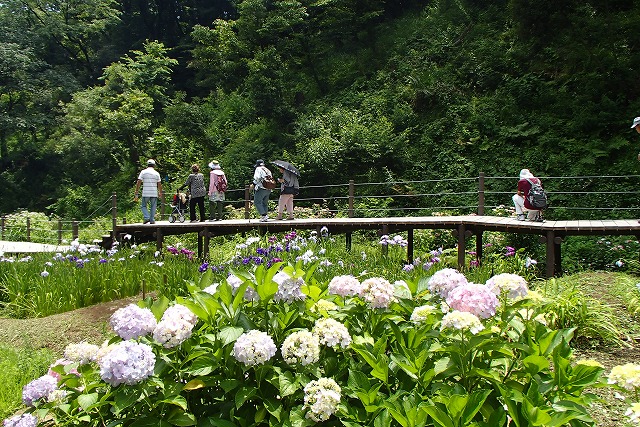 d0143678_23211195.jpg