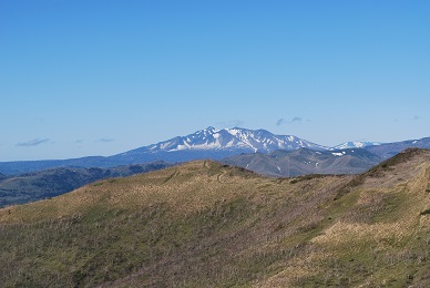 a0133886_17442020.jpg