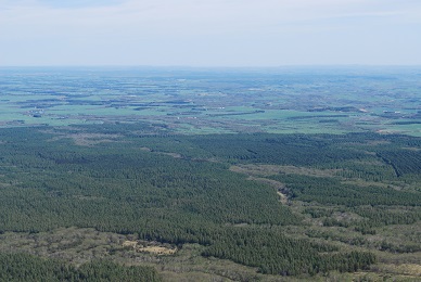 a0133886_1745185.jpg