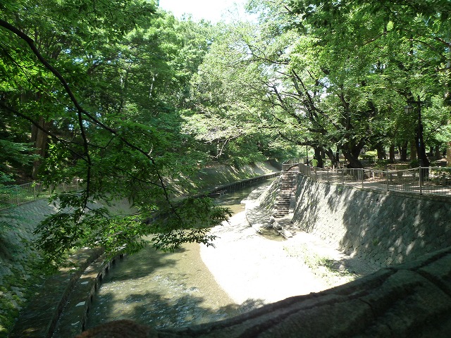 b0287088_16283531.jpg