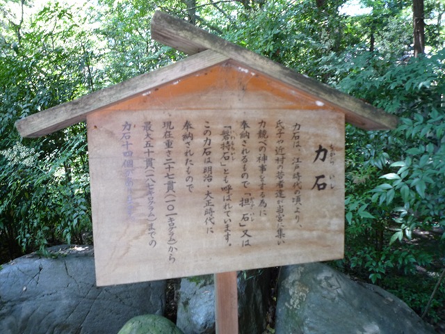 b0287088_1628653.jpg