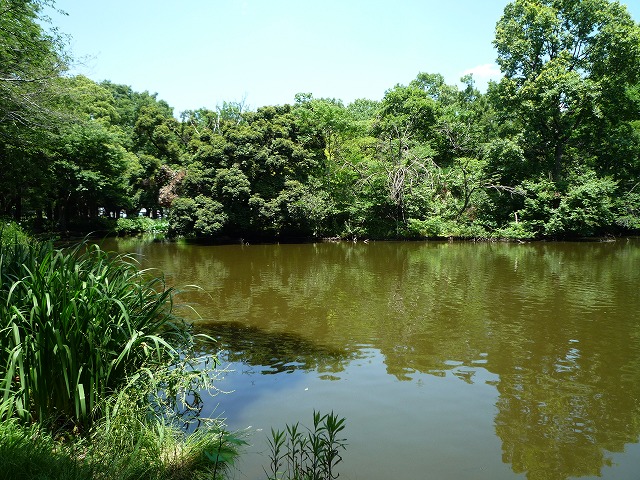 b0287088_1635810.jpg
