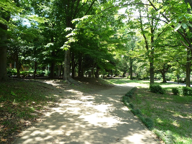 b0287088_16371642.jpg