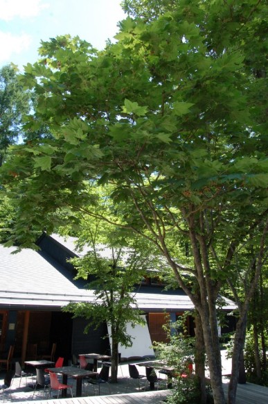 f0162689_10460901.jpg