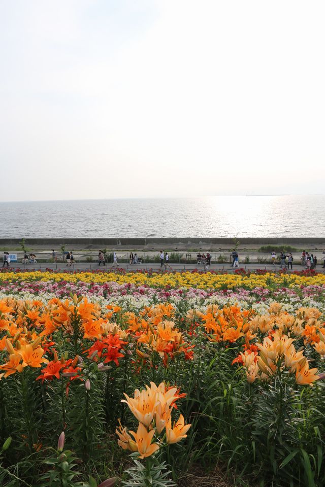 b0190092_21532057.jpg