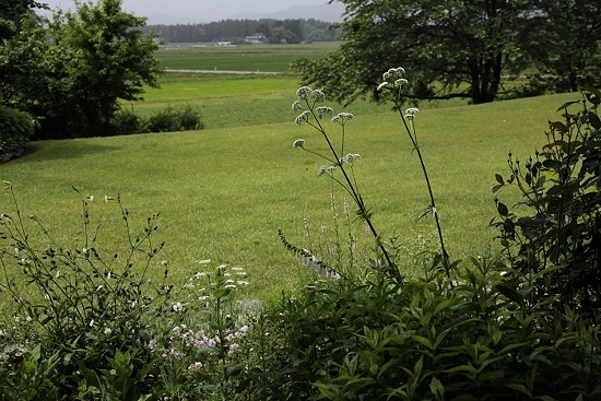 e0209997_00193274.jpg