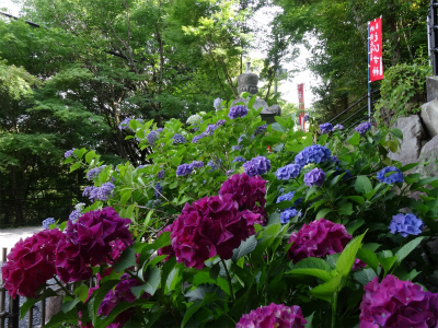 c0125501_1425525.jpg