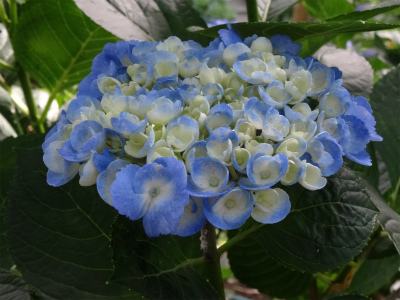 c0125501_1431332.jpg