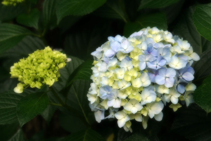 a0263109_1127522.jpg