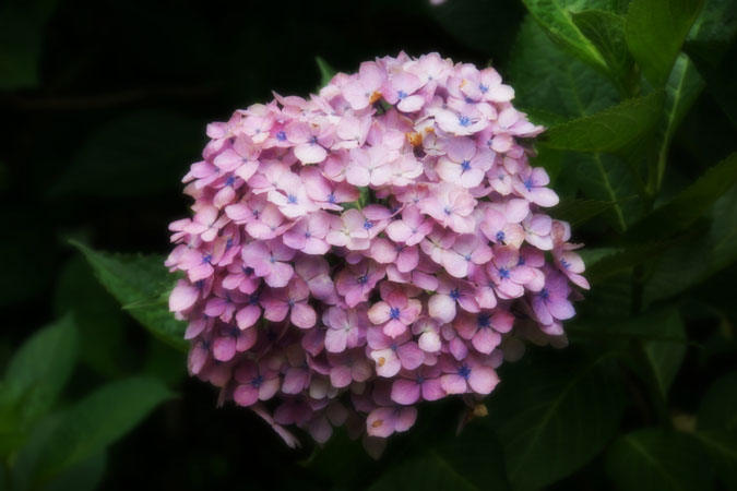 a0263109_1133144.jpg