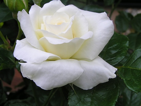 f0325309_20373353.jpg