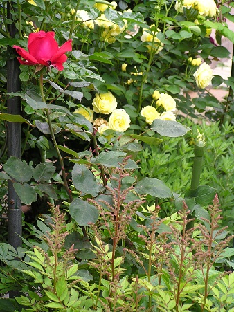 f0325309_20412291.jpg