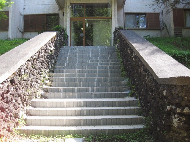 d0160611_16411677.jpg