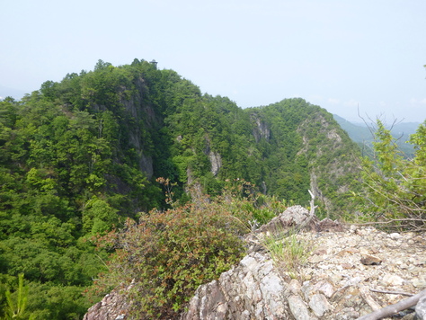d0170615_1715593.jpg