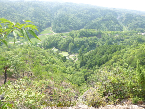 d0170615_1716971.jpg