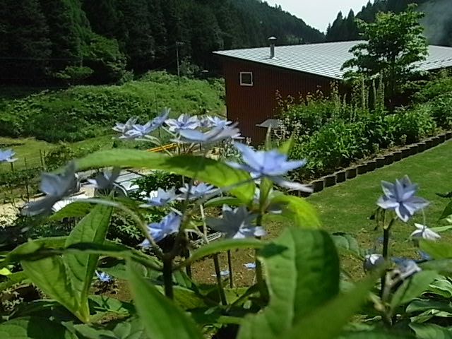 f0341616_5351888.jpg