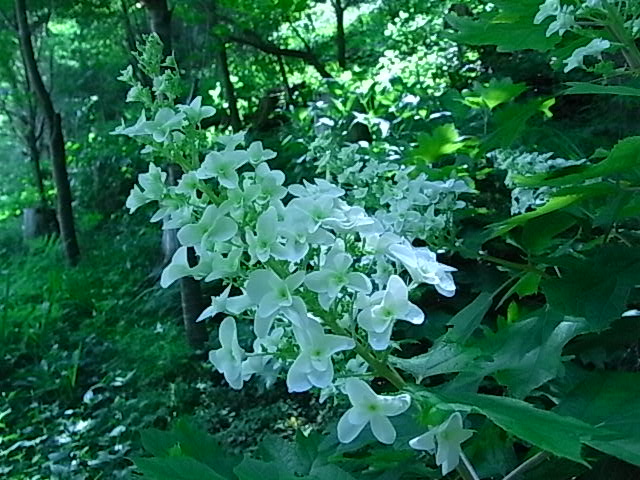 f0341616_5363858.jpg