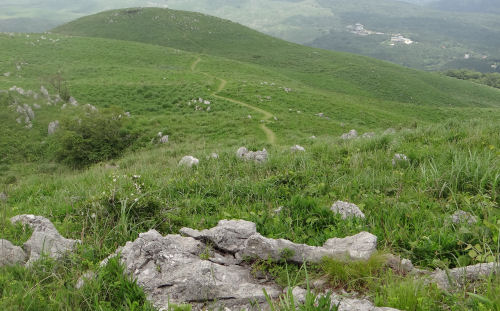 b0211627_110247.jpg