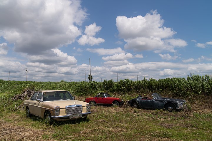 b0134829_13504385.jpg
