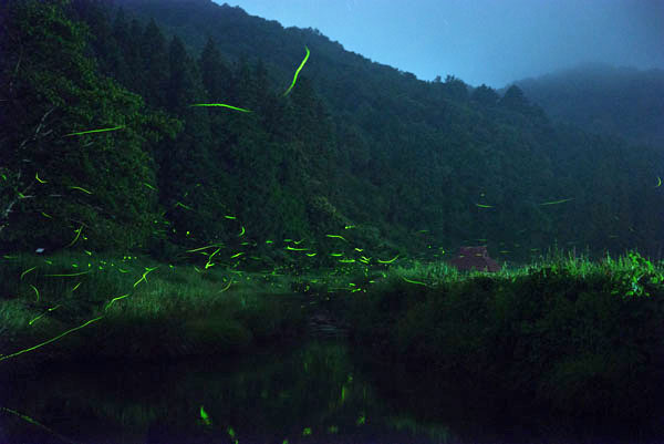 d0029829_4323851.jpg