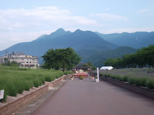 f0304030_14191613.jpg
