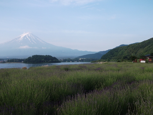 f0304030_14423895.jpg