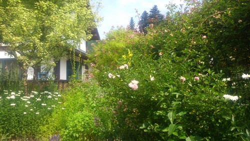 c0300035_1035855.jpg