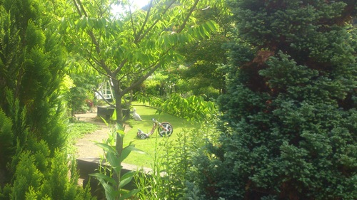 c0300035_10923100.jpg