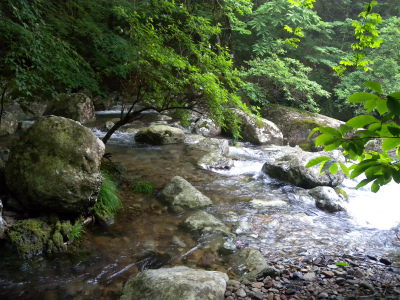 e0272335_2041619.jpg